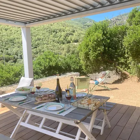 M&m Medori A Mocali *